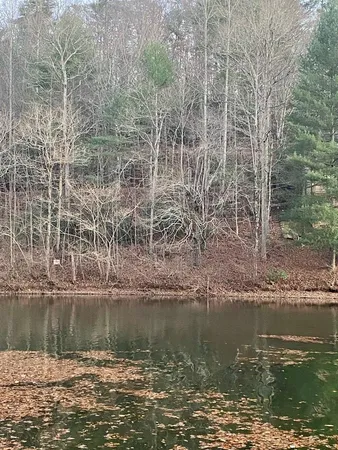 $169,000 | Lot 5 The Landings, Robbinsville, NC 28771