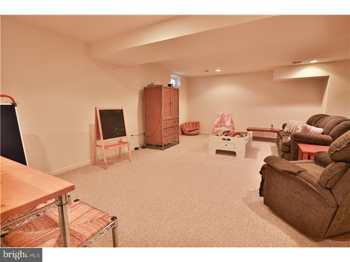 126 Lower Way Road Easton, PA 18045 - Photo 19 of 21 Basement - Finished