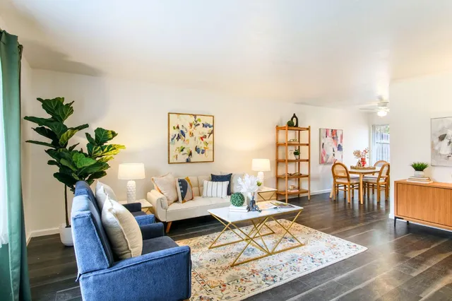 a living room with furniture potted plant and a table
