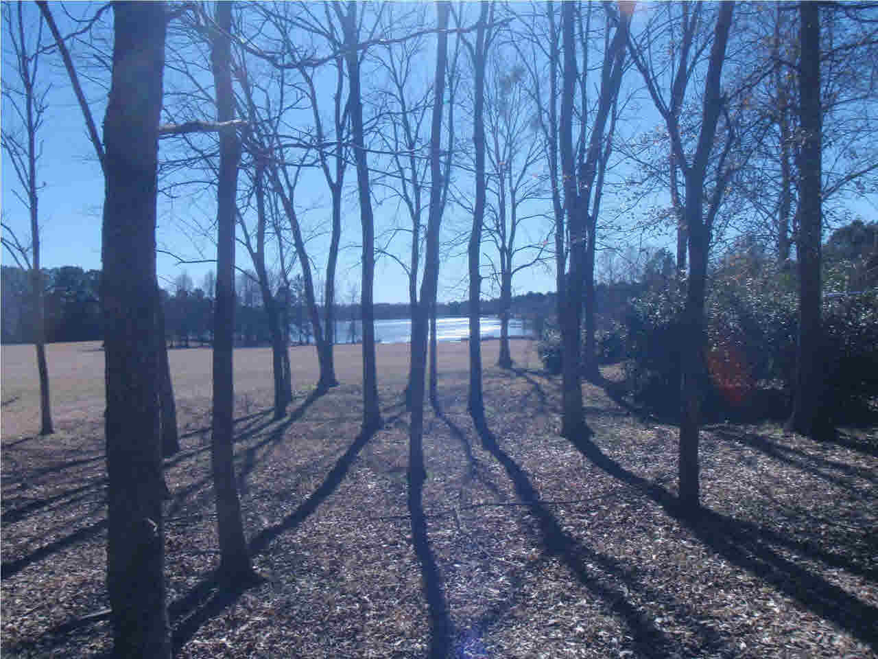 2541 Greens Crossing Road Jackson, MS 39209 - Photo 3 of 18 Photo 3