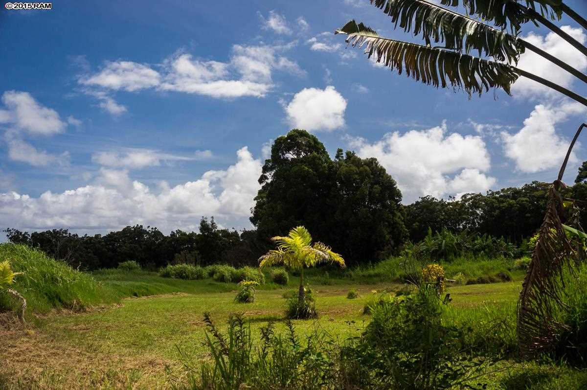 1133 Upper Ulumalu Road Haiku, HI 96708 - Photo 3 of 15 a swimming pool in middle of the green field