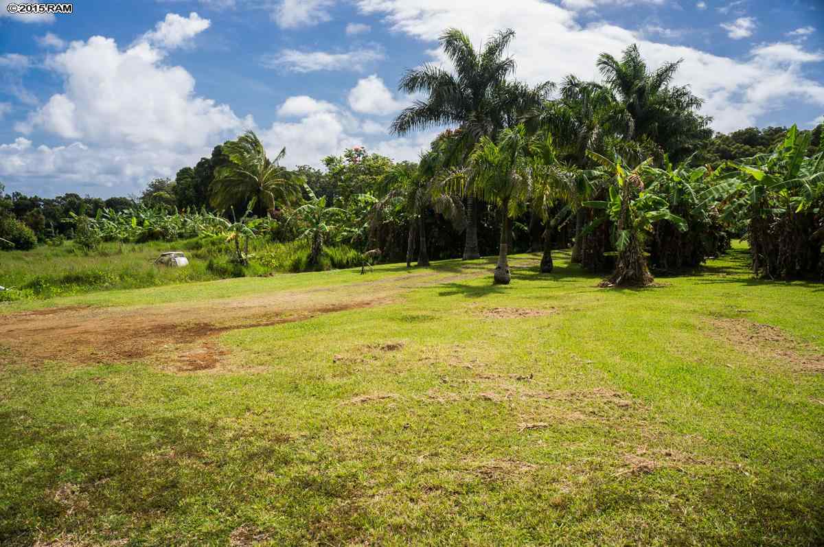 1133 Upper Ulumalu Road Haiku, HI 96708 - Photo 8 of 15 a view of a swimming pool and trees in the background
