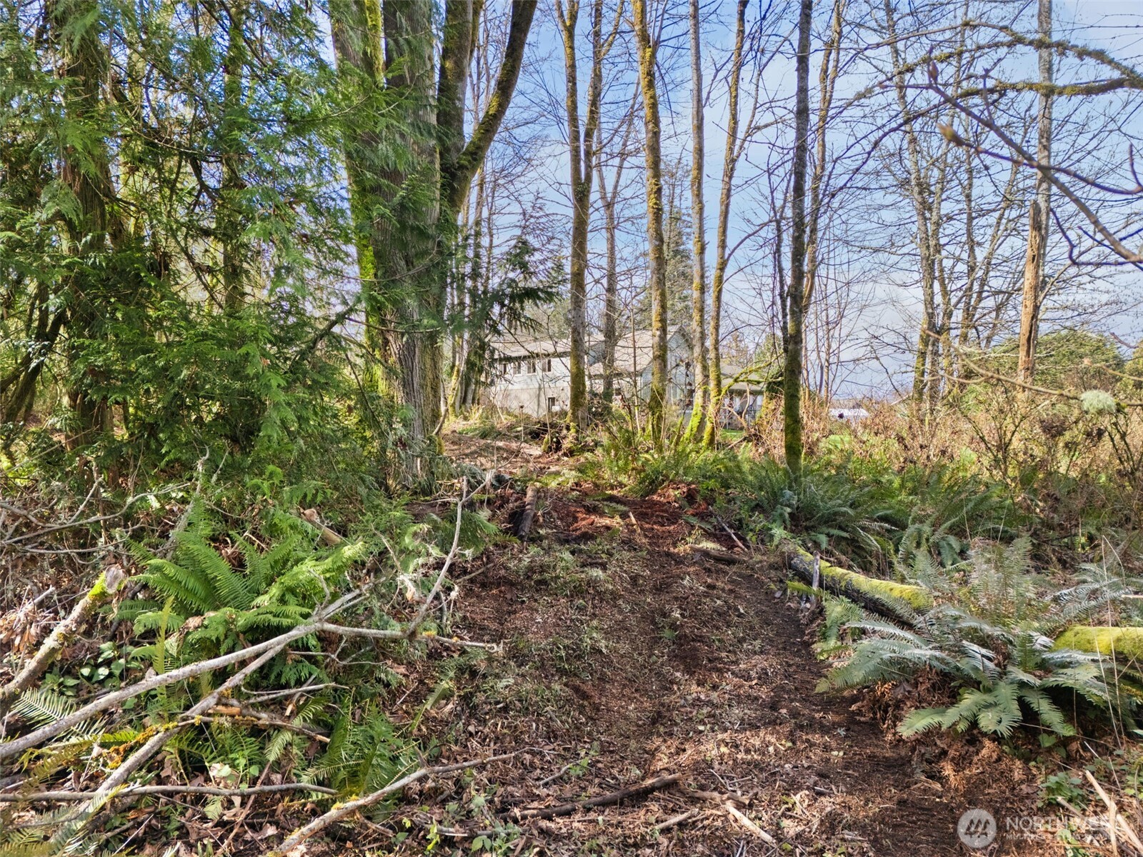 23500 Northeast Jefferson Point Road Kingston, WA 98346 - Photo 15 of 35 Gallery Image 15