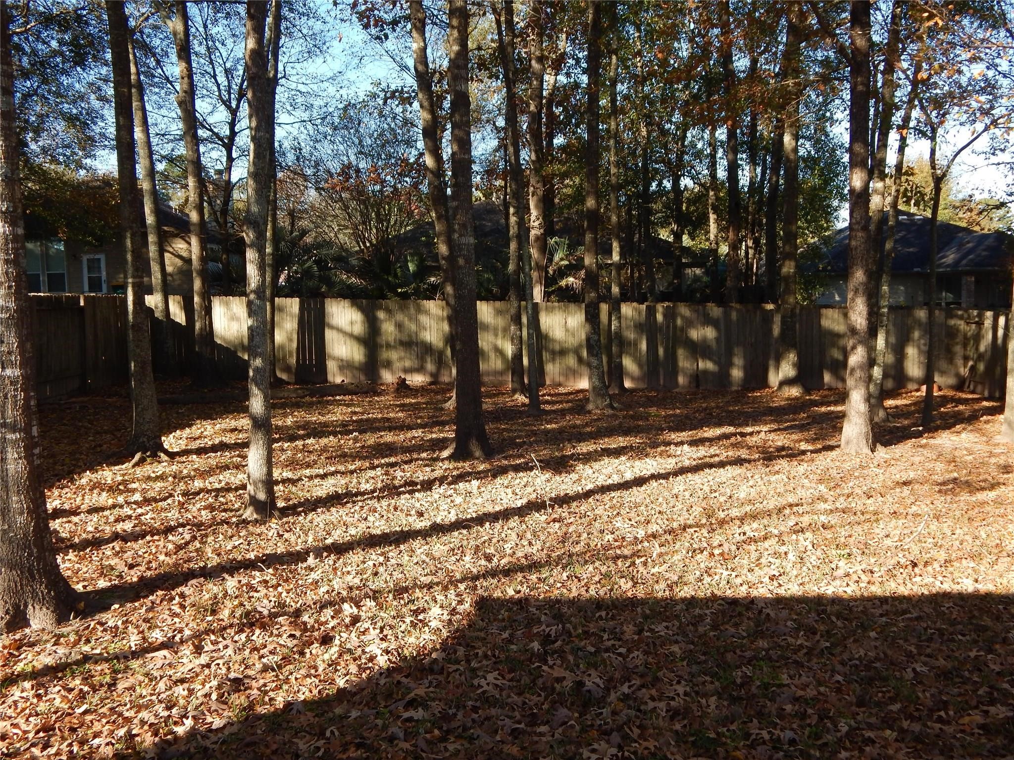 272 Mesa View Conroe, TX 77316 - Photo 2 of 11