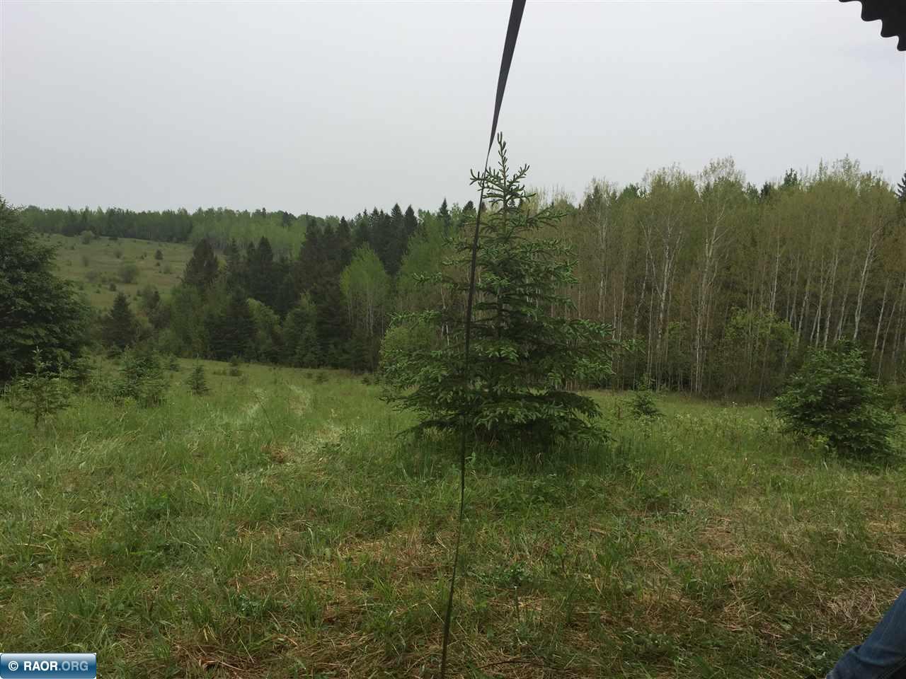 10950 Co Road Orr, MN 55771 - Photo 13 of 16