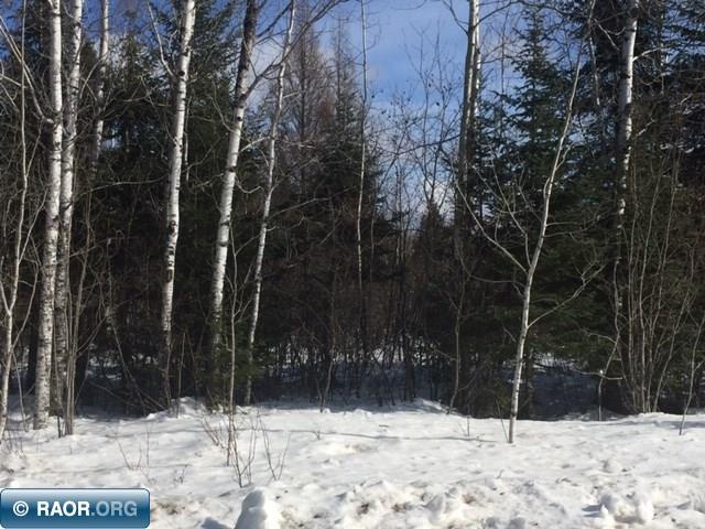 10950 Co Road Orr, MN 55771 - Photo 2 of 16