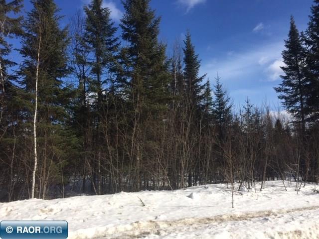 10950 Co Road Orr, MN 55771 - Photo 3 of 16