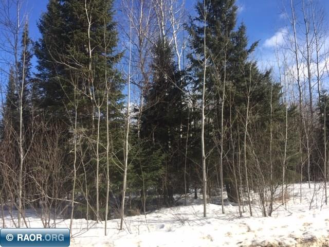 10950 Co Road Orr, MN 55771 - Photo 4 of 16
