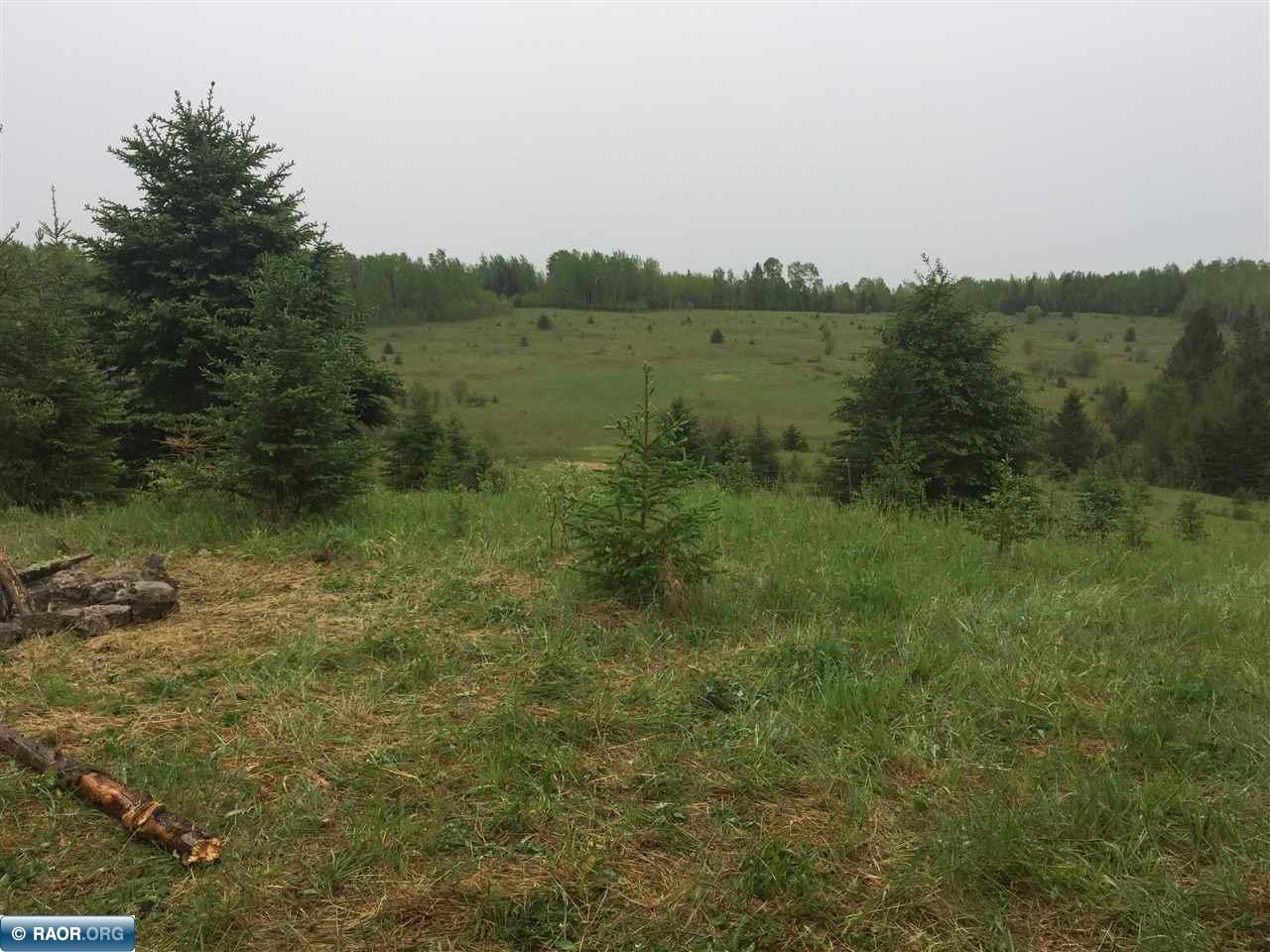 10950 Co Road Orr, MN 55771 - Photo 10 of 16