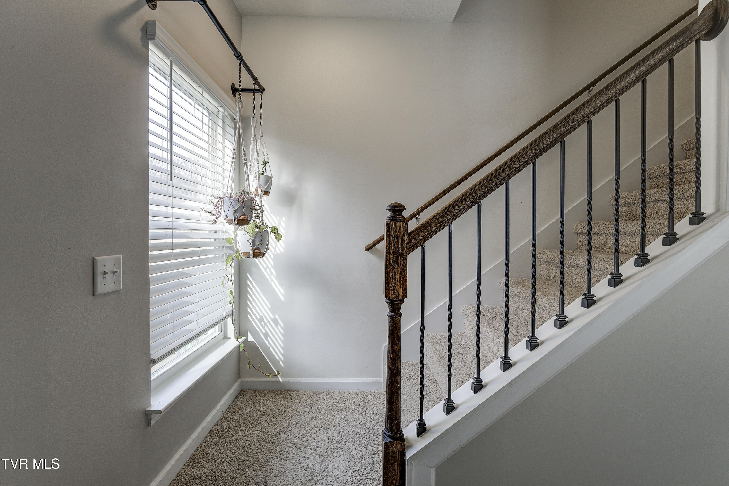 134 Sweet Pea Trail Greeneville, TN 37745 - Photo 23 of 49 SweetpeaTrail--20