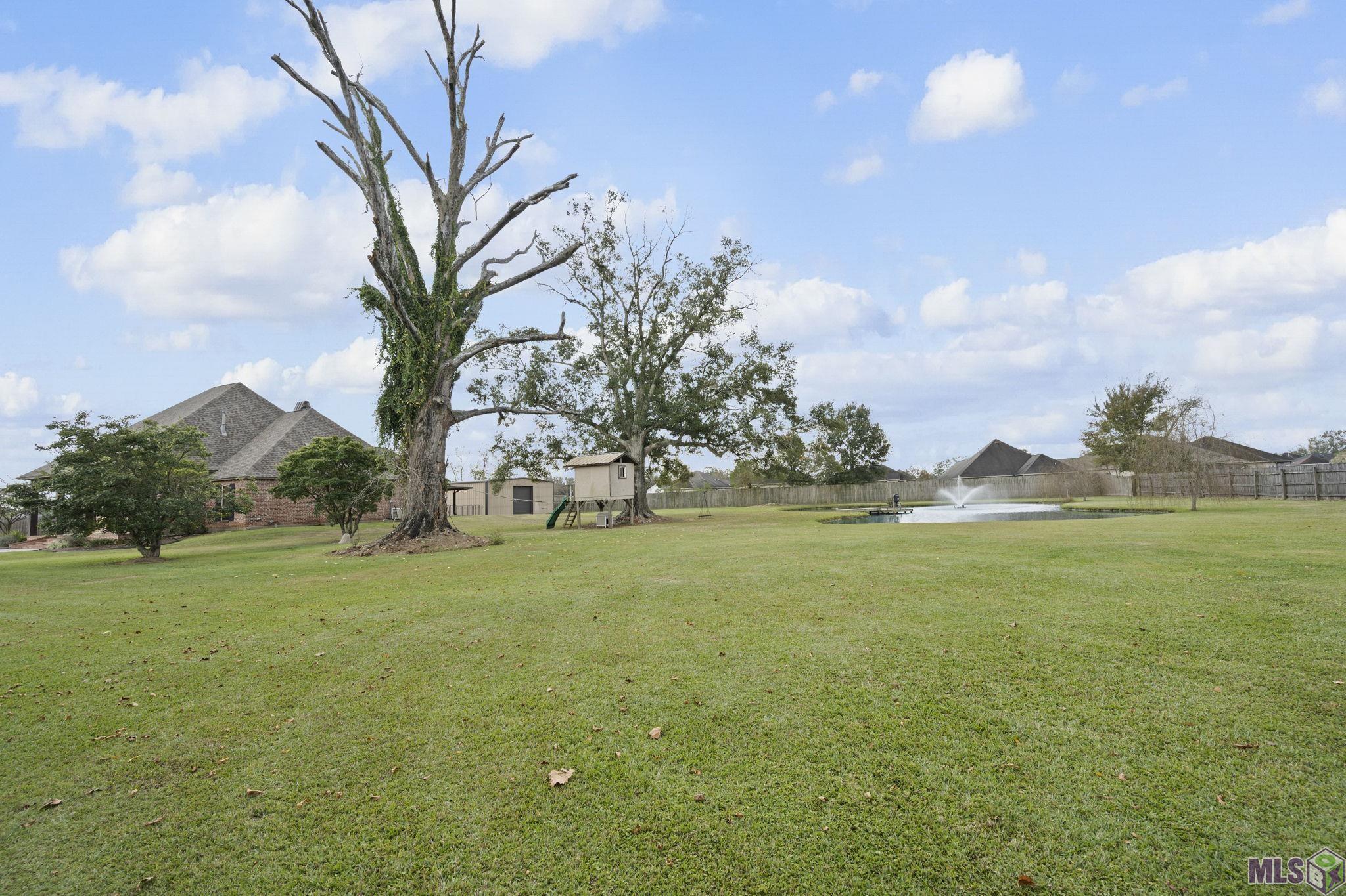 42301 Devall Road Prairieville, LA 70769 - Photo 17 of 17