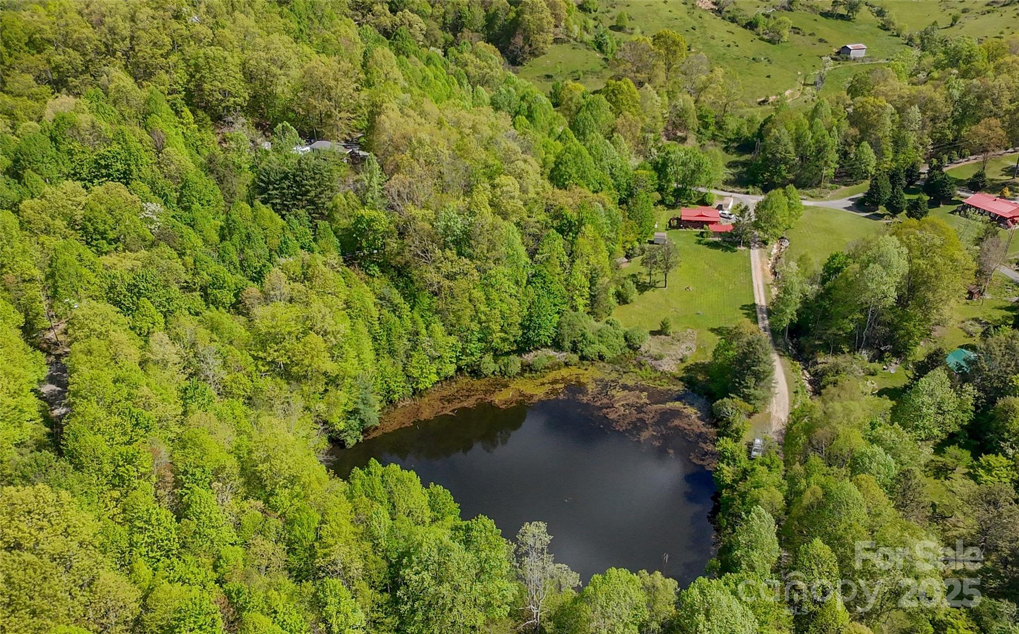 56 Hidden Valley Road Clyde, NC 28721 - Photo 11 of 30