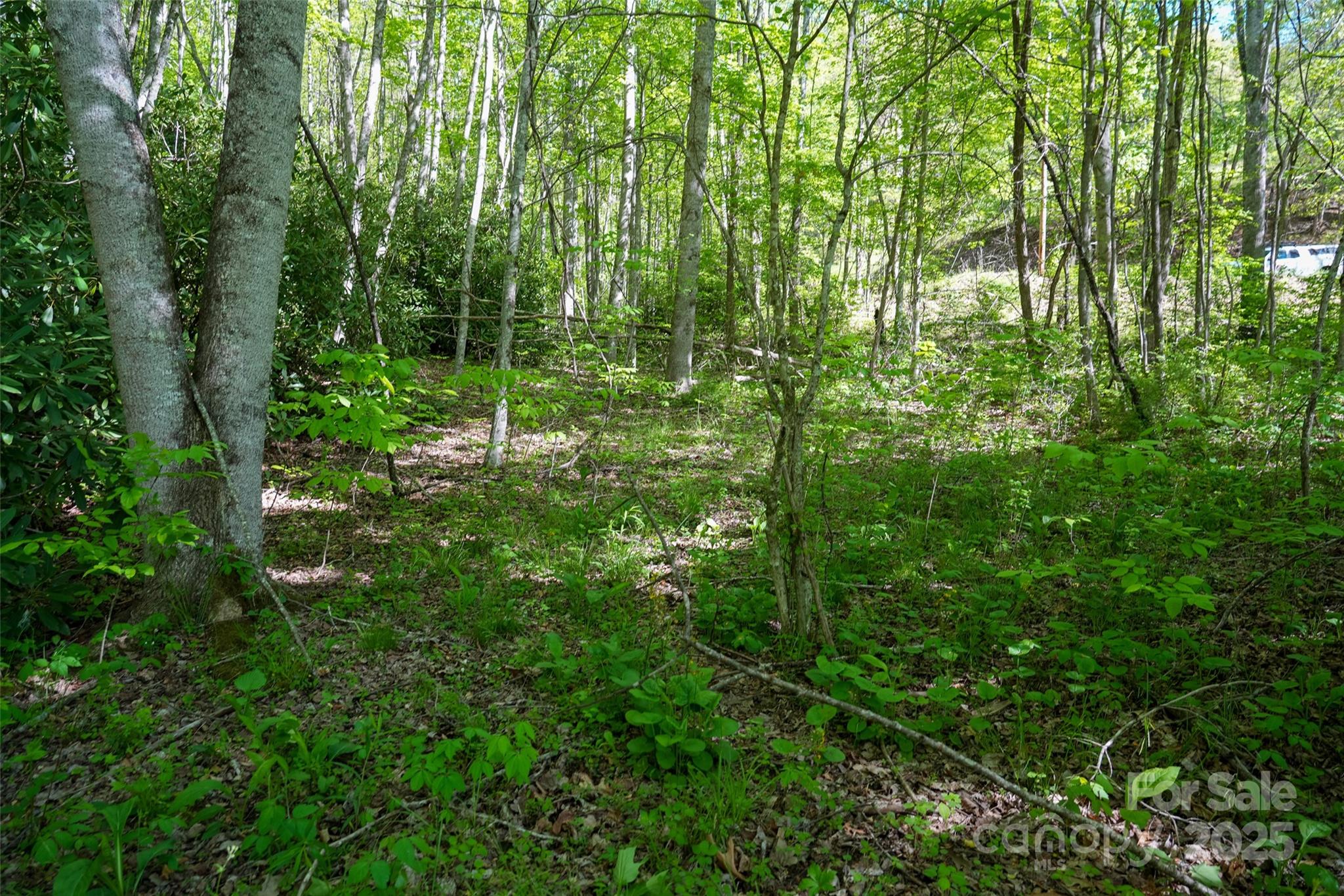 56 Hidden Valley Road Clyde, NC 28721 - Photo 13 of 30