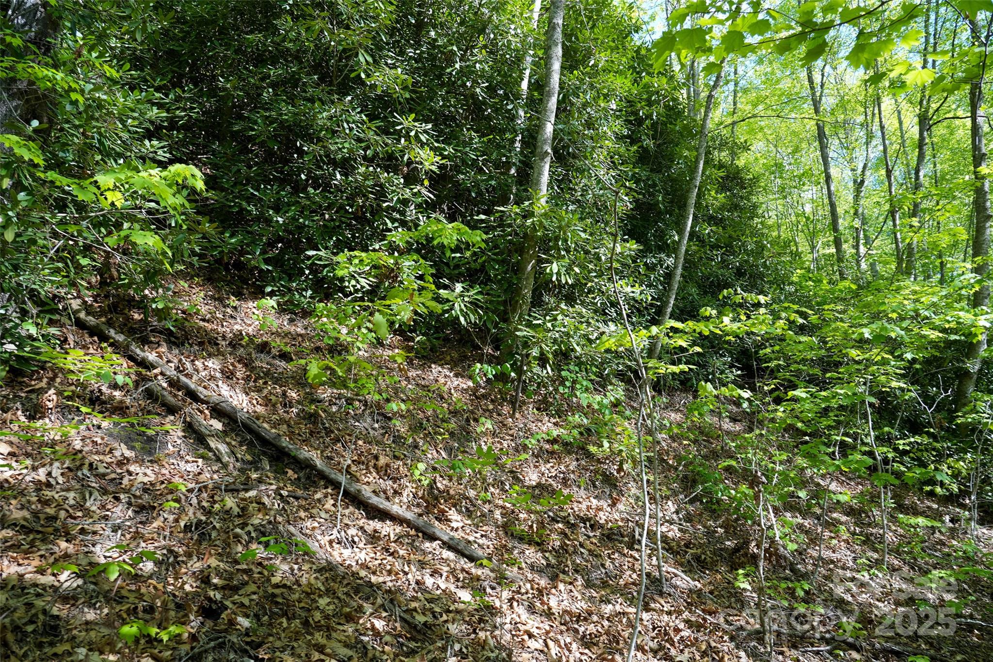 56 Hidden Valley Road Clyde, NC 28721 - Photo 14 of 30