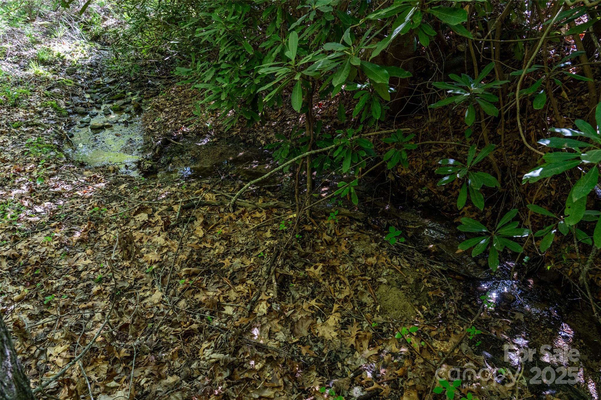 56 Hidden Valley Road Clyde, NC 28721 - Photo 17 of 30