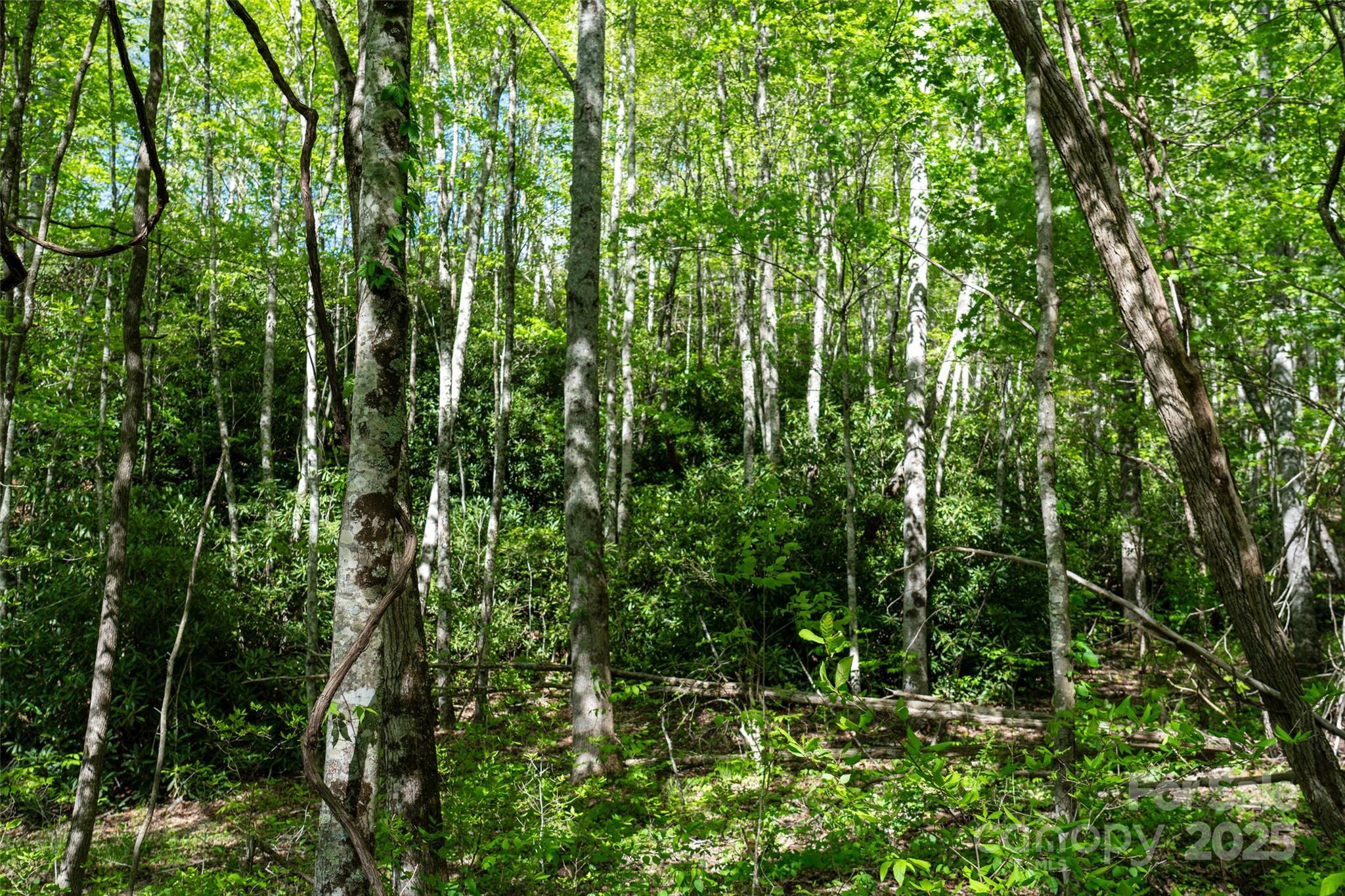 56 Hidden Valley Road Clyde, NC 28721 - Photo 20 of 30