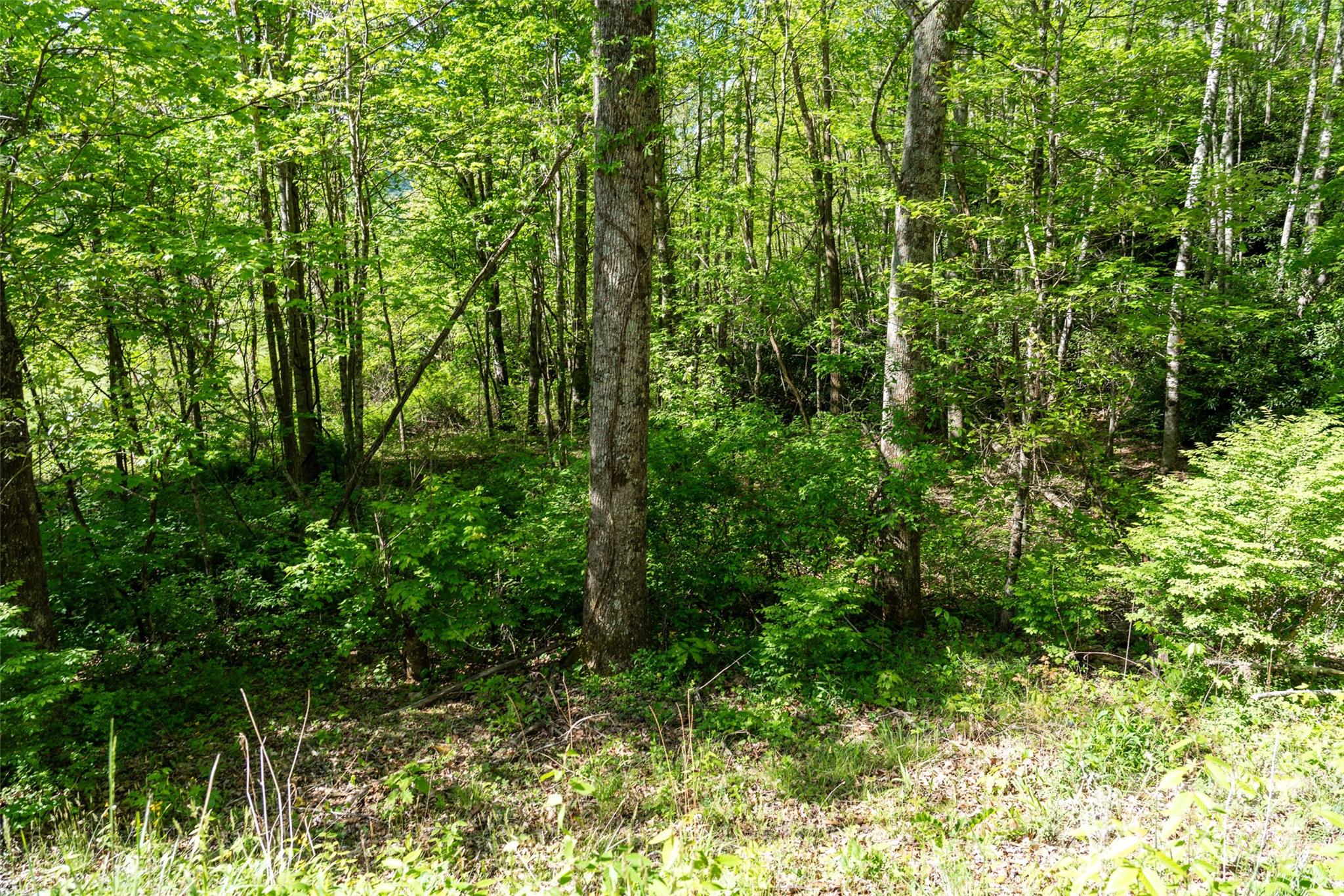 56 Hidden Valley Road Clyde, NC 28721 - Photo 24 of 30