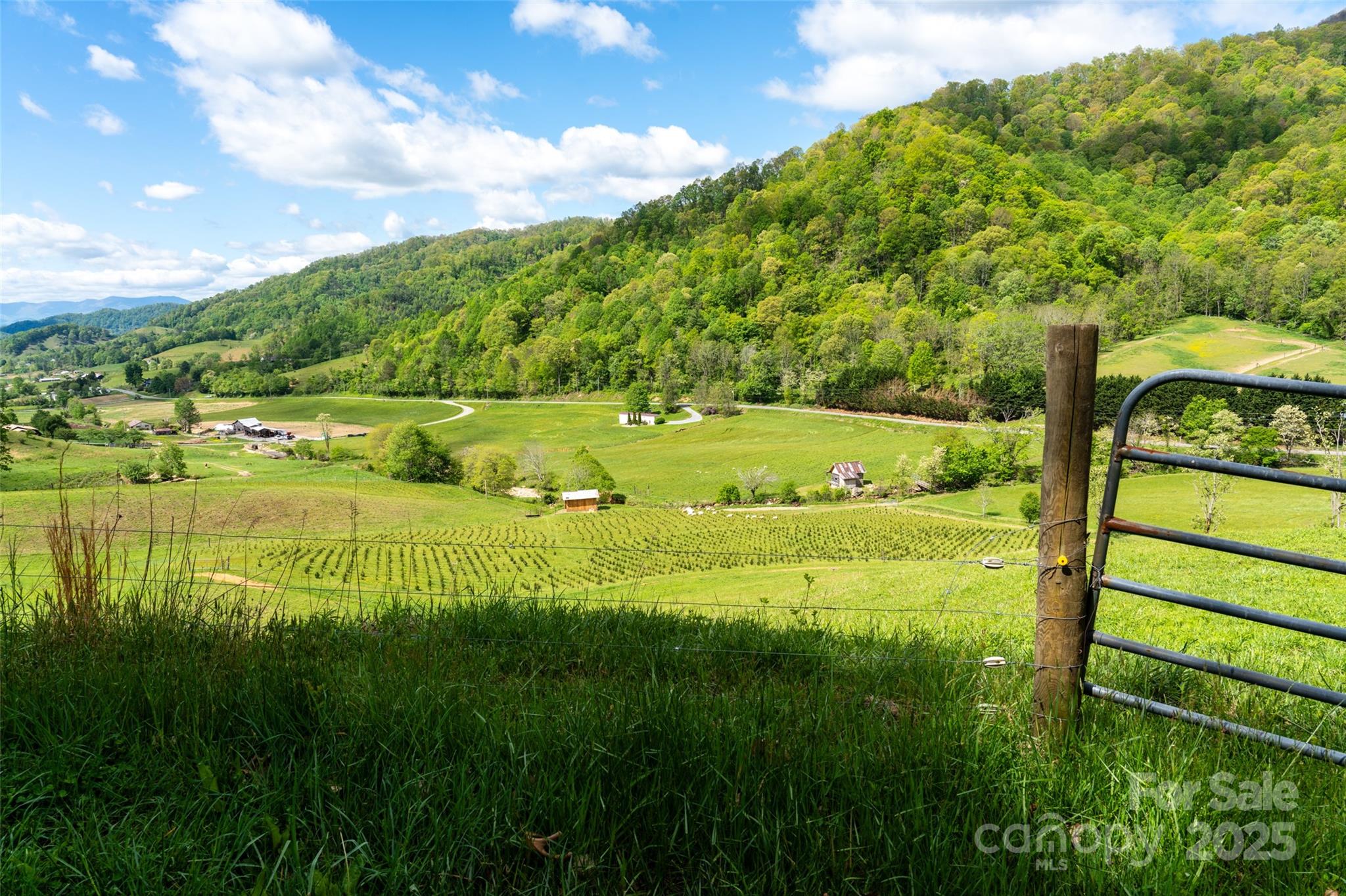 56 Hidden Valley Road Clyde, NC 28721 - Photo 3 of 30