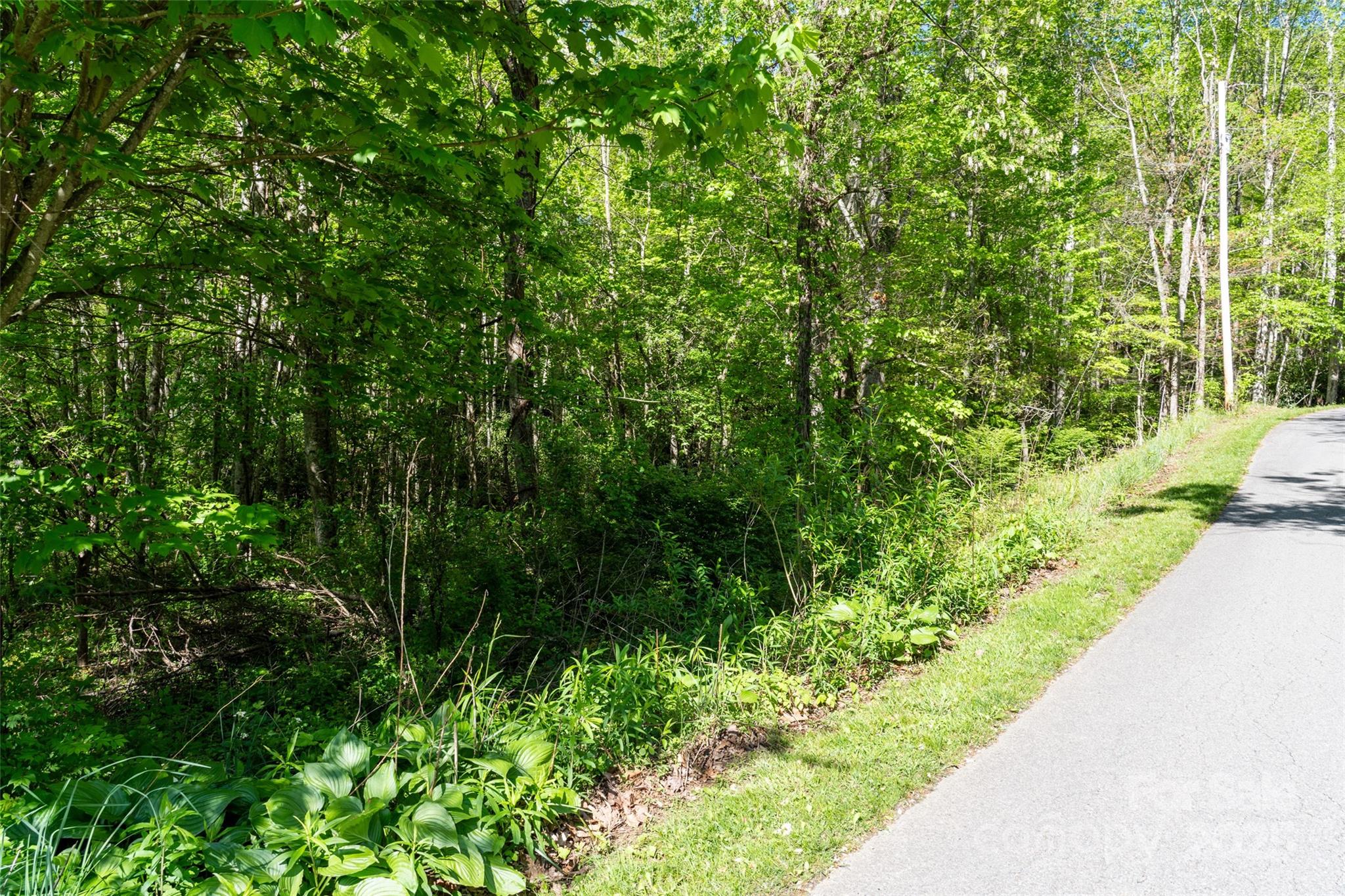 56 Hidden Valley Road Clyde, NC 28721 - Photo 7 of 30