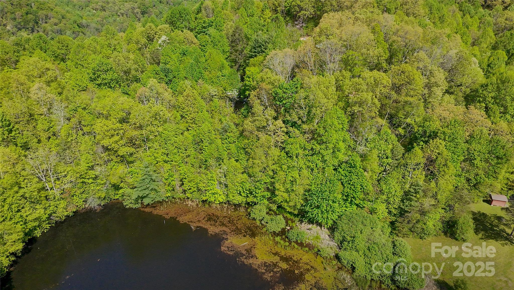 56 Hidden Valley Road Clyde, NC 28721 - Photo 8 of 30