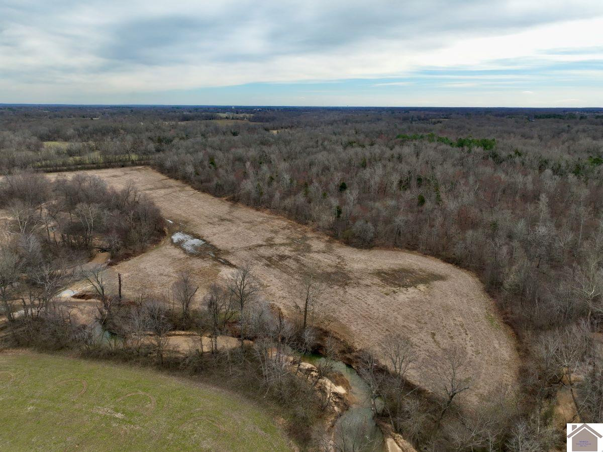 0 Waid Road Benton, KY 42025 - Photo 7 of 35 Photo 7