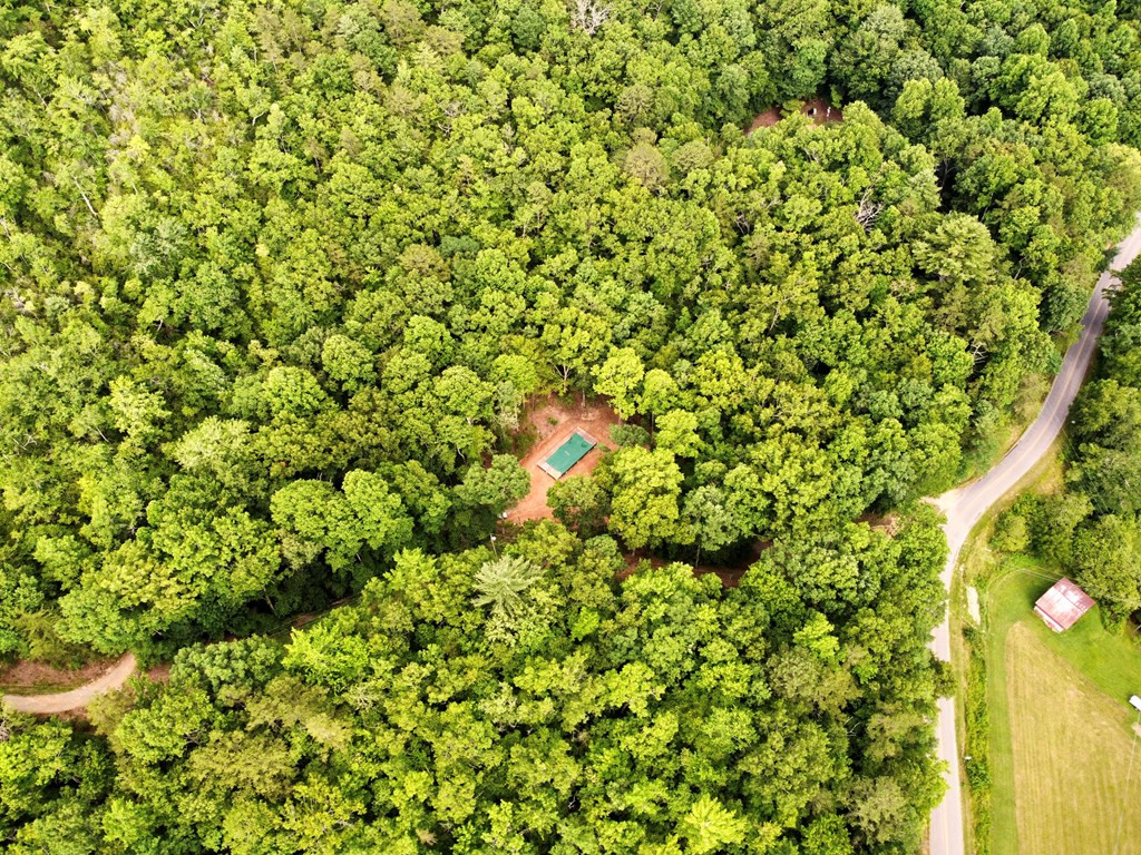 1380 Bluff Road Marble, NC 28905 - Photo 13 of 16
