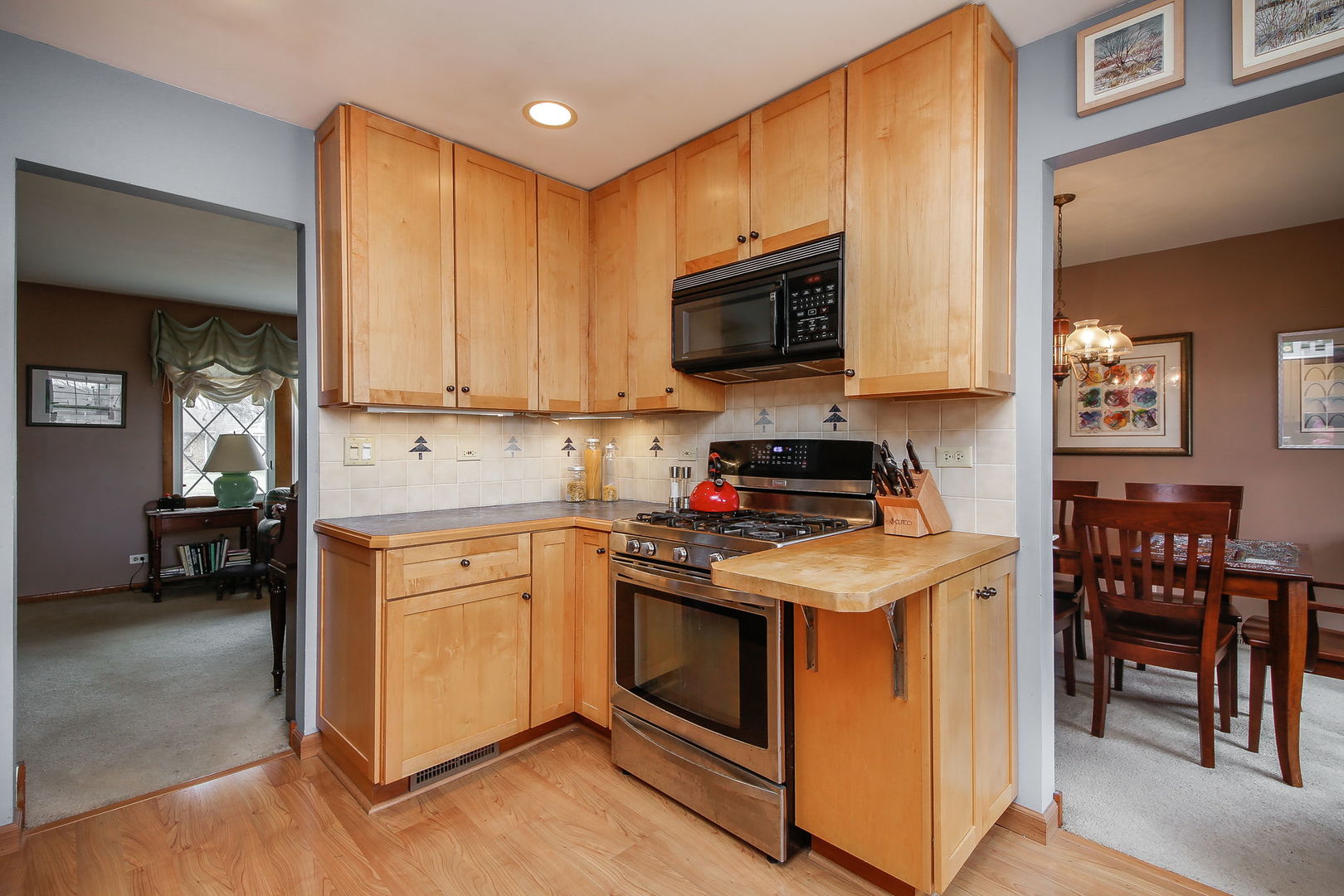 447 Tennyson Road Bartlett, IL 60103 - Photo 11 of 28