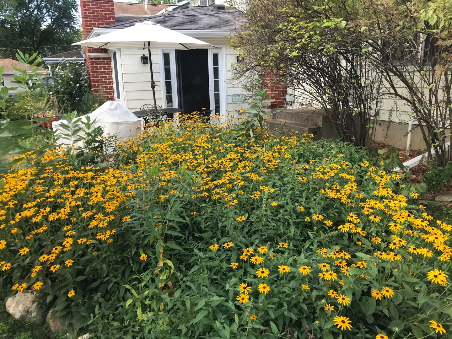 447 Tennyson Road Bartlett, IL 60103 - Photo 27 of 28