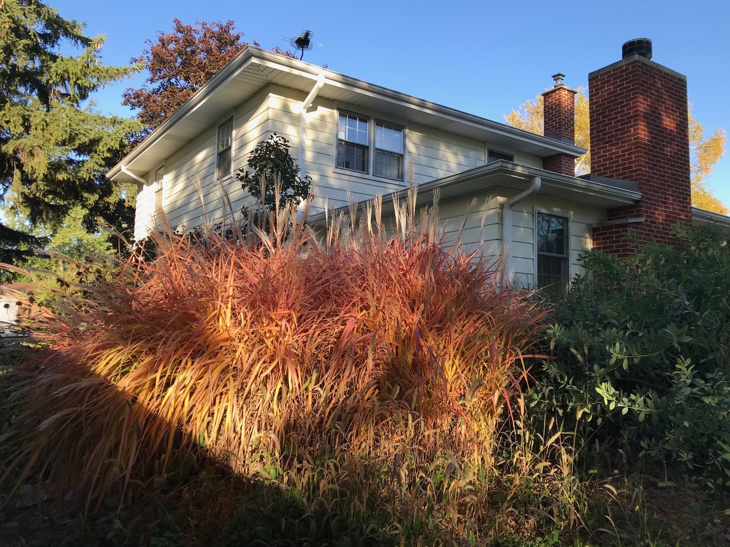 447 Tennyson Road Bartlett, IL 60103 - Photo 28 of 28