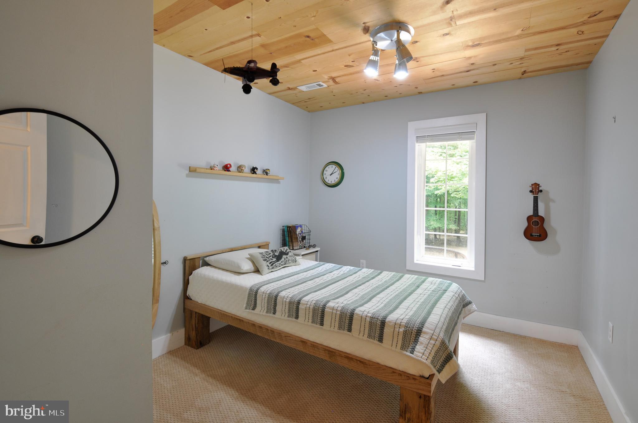 8504 Passapatanzy Road King George, VA 22485 - Photo 31 of 38 Third bedroom downstairs, notice the ceiling!