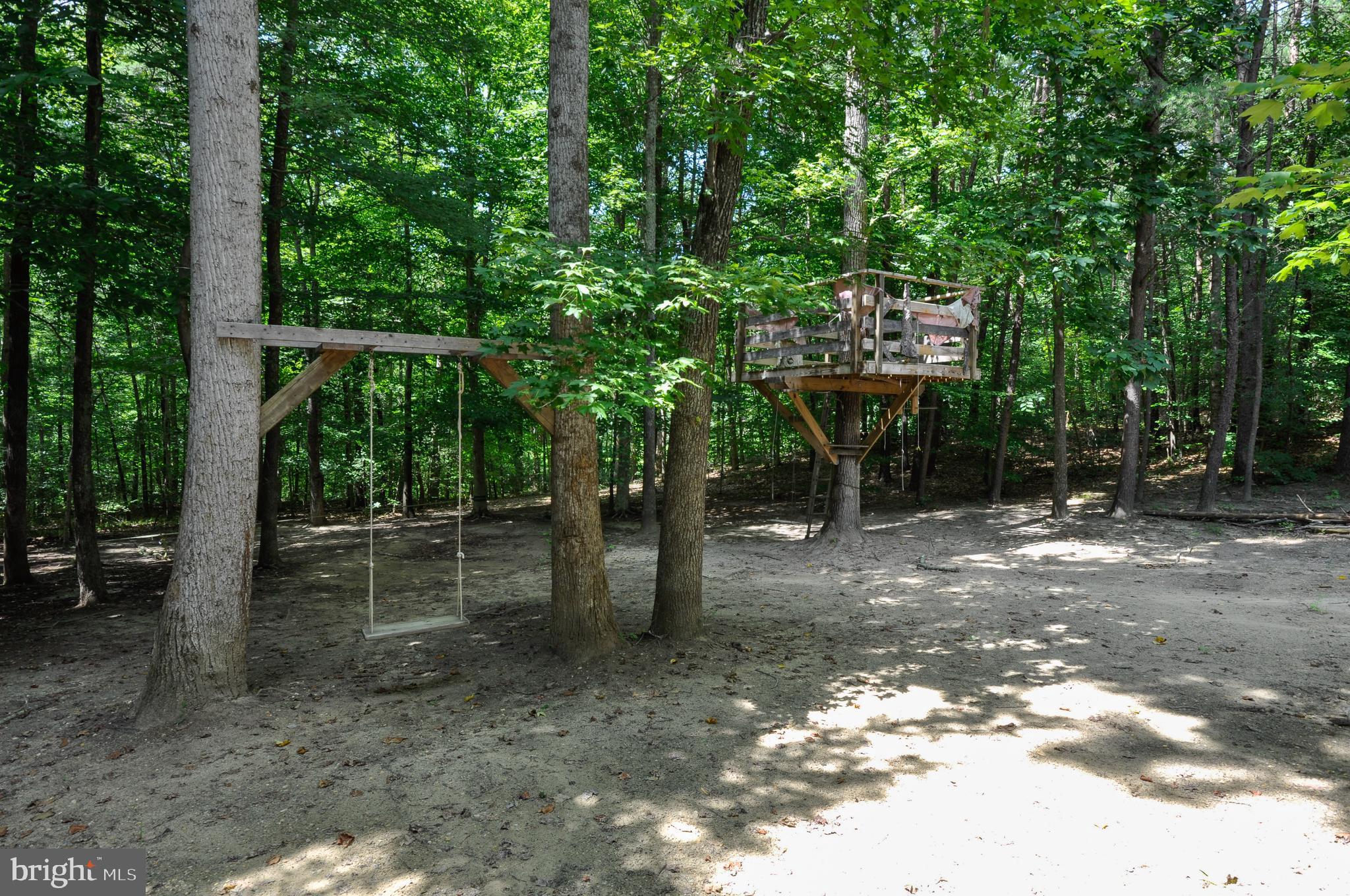 8504 Passapatanzy Road King George, VA 22485 - Photo 37 of 38 Tree house and swing set