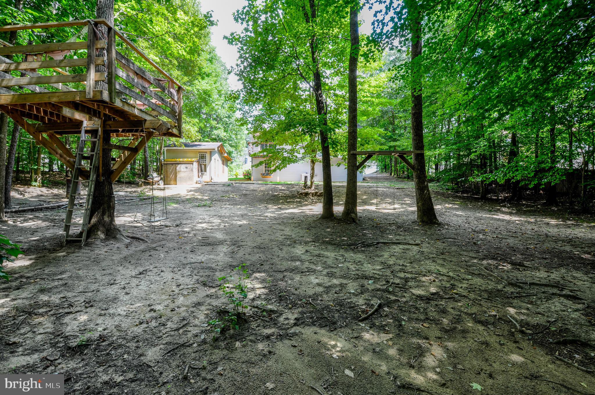 8504 Passapatanzy Road King George, VA 22485 - Photo 38 of 38 Back yard made for adventure!