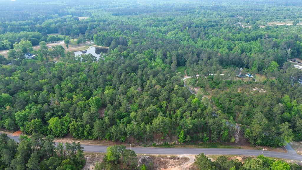 0 Mt Zion Road, Unit 5 Trenton, SC 29847 - Photo 12 of 26
