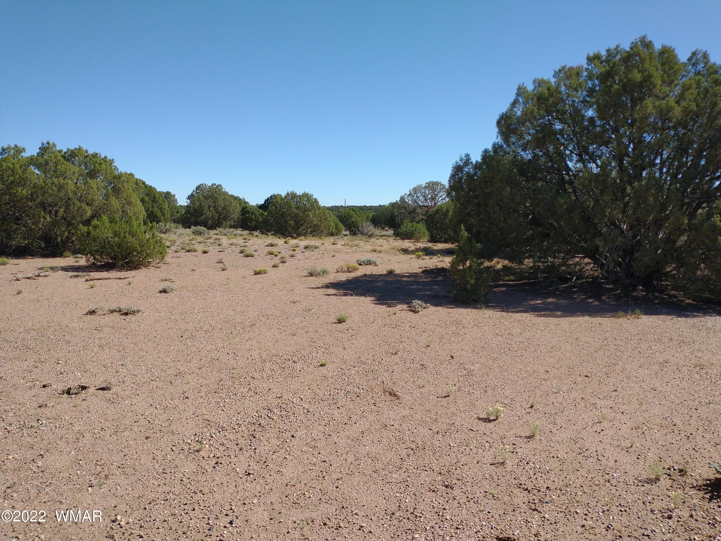 4265 Mountain View Road Snowflake, AZ 85937 - Photo 1 of 14 a view of ocean beach with large trees