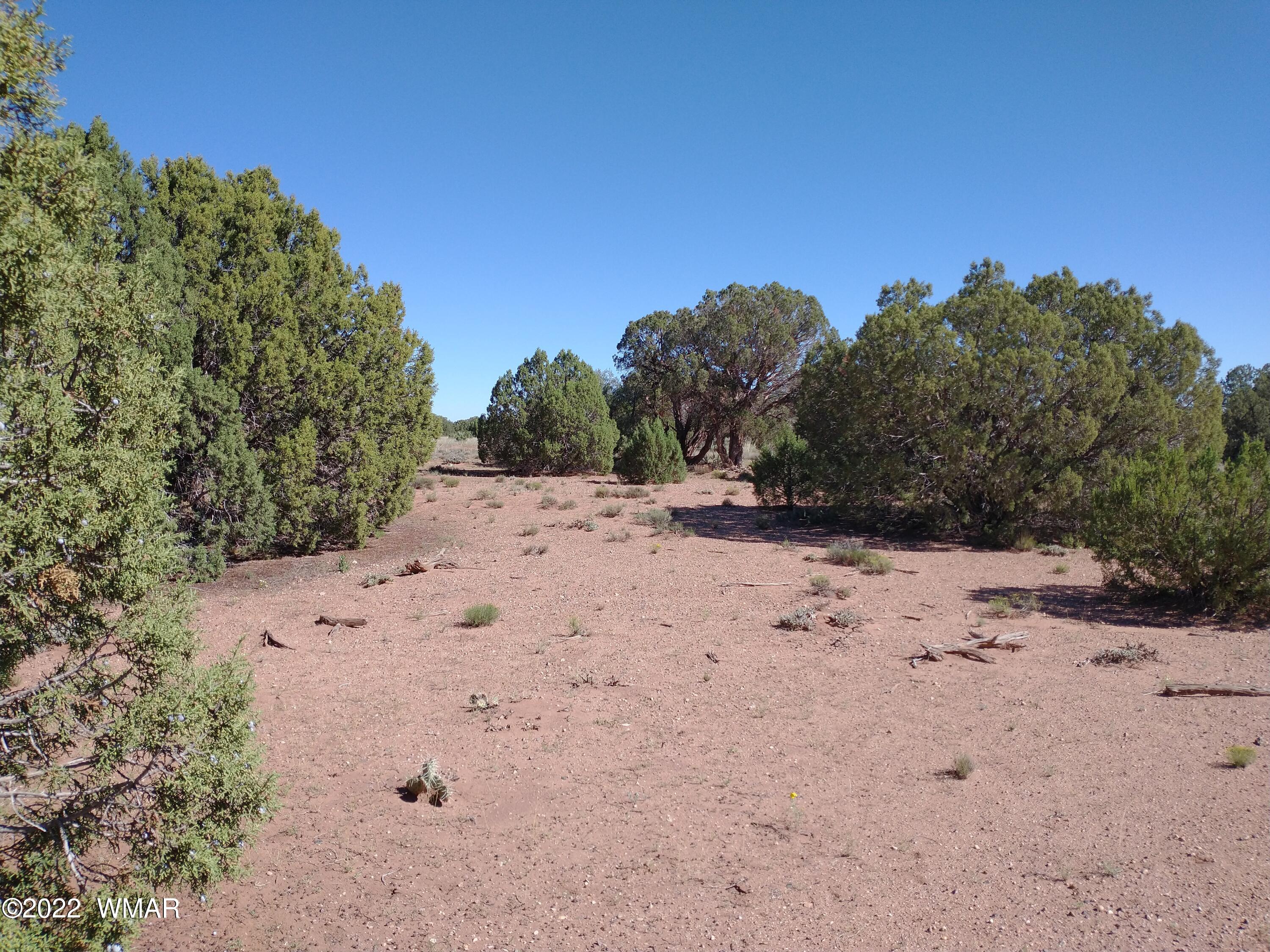 4265 Mountain View Road Snowflake, AZ 85937 - Photo 2 of 14 a view of a beach with a tree in the background