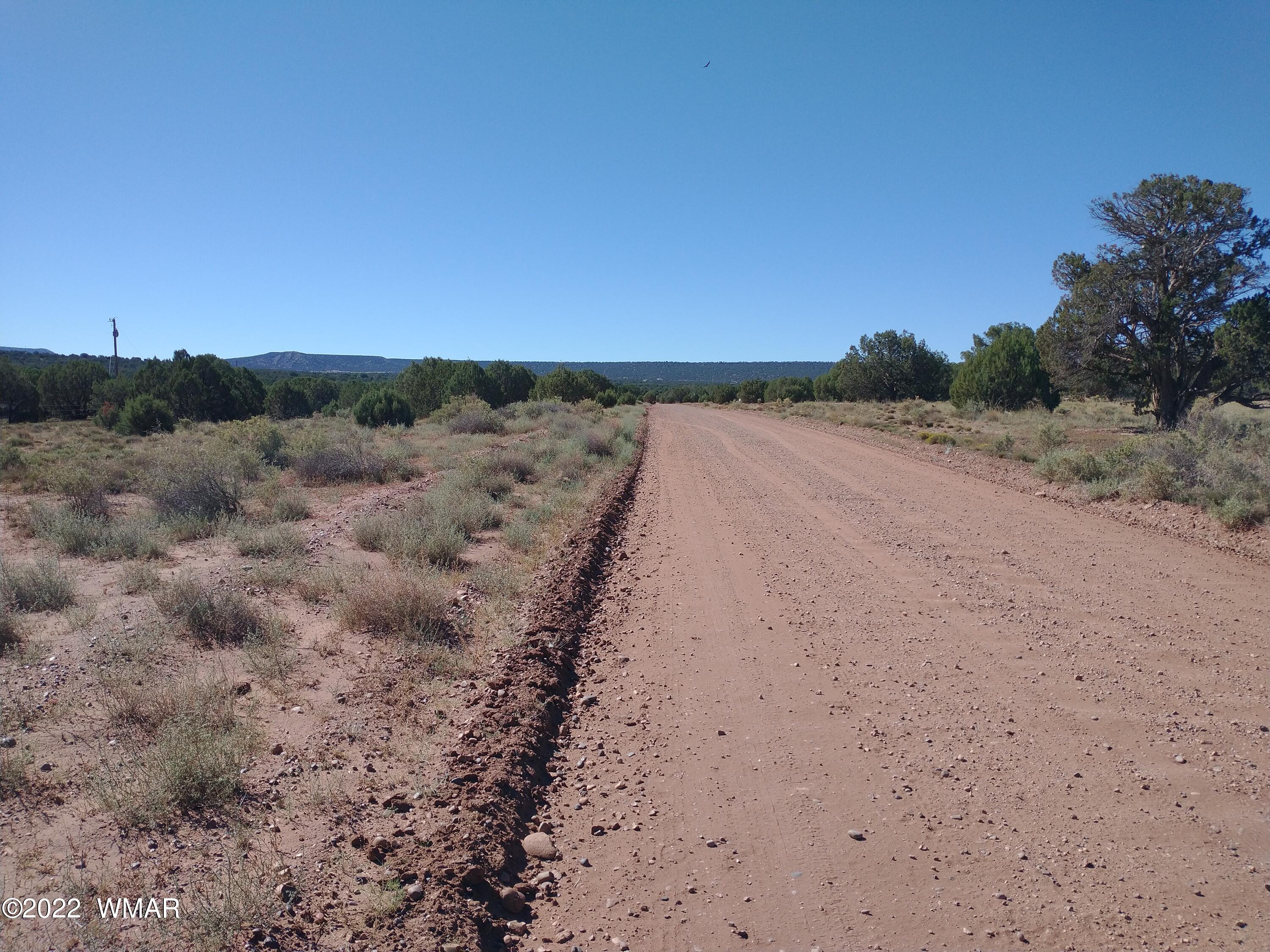 4265 Mountain View Road Snowflake, AZ 85937 - Photo 5 of 14 a view of a dry yard with trees in the background