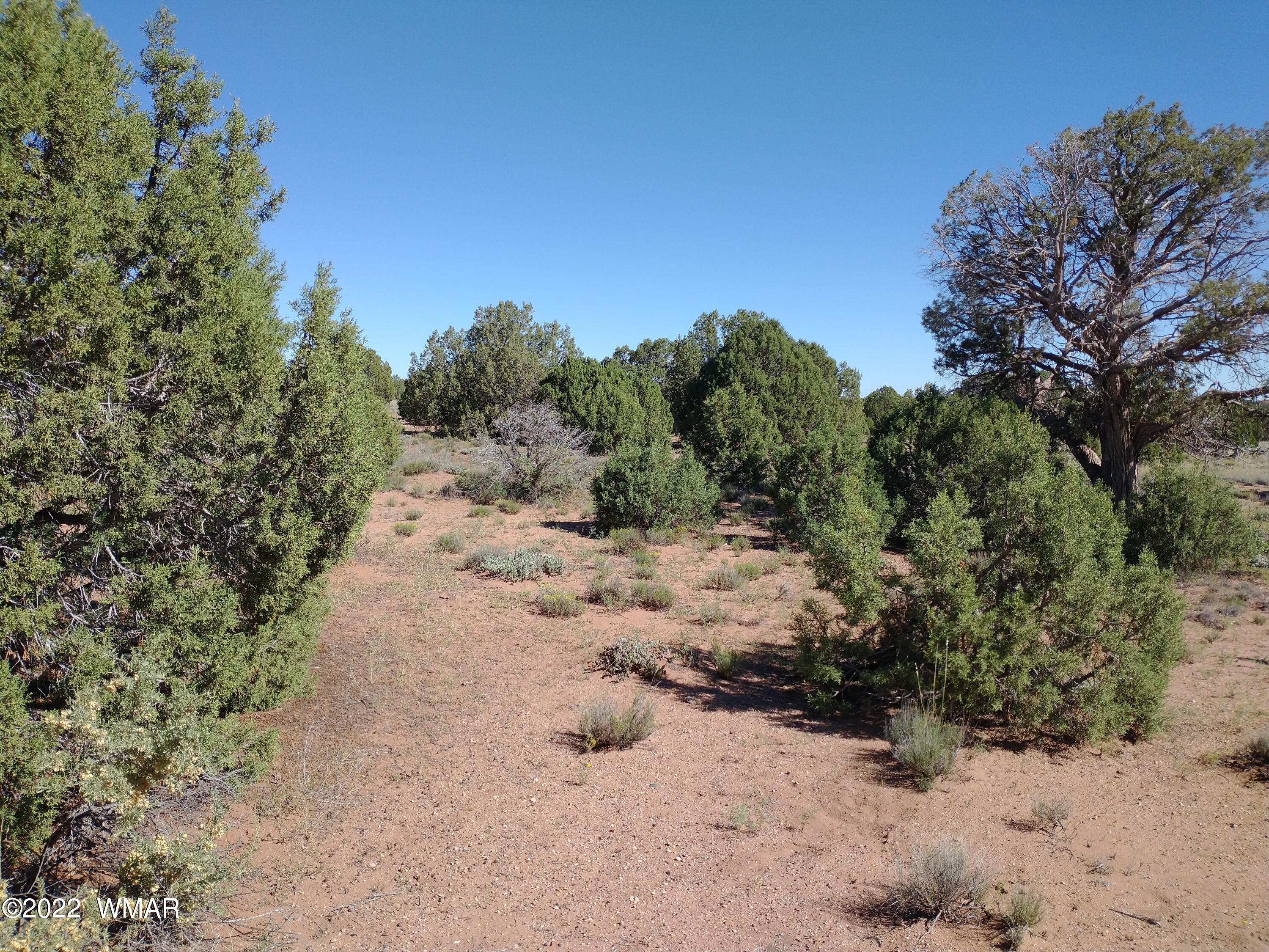 4265 Mountain View Road Snowflake, AZ 85937 - Photo 8 of 14 a view of a dirt pathway both side of a road