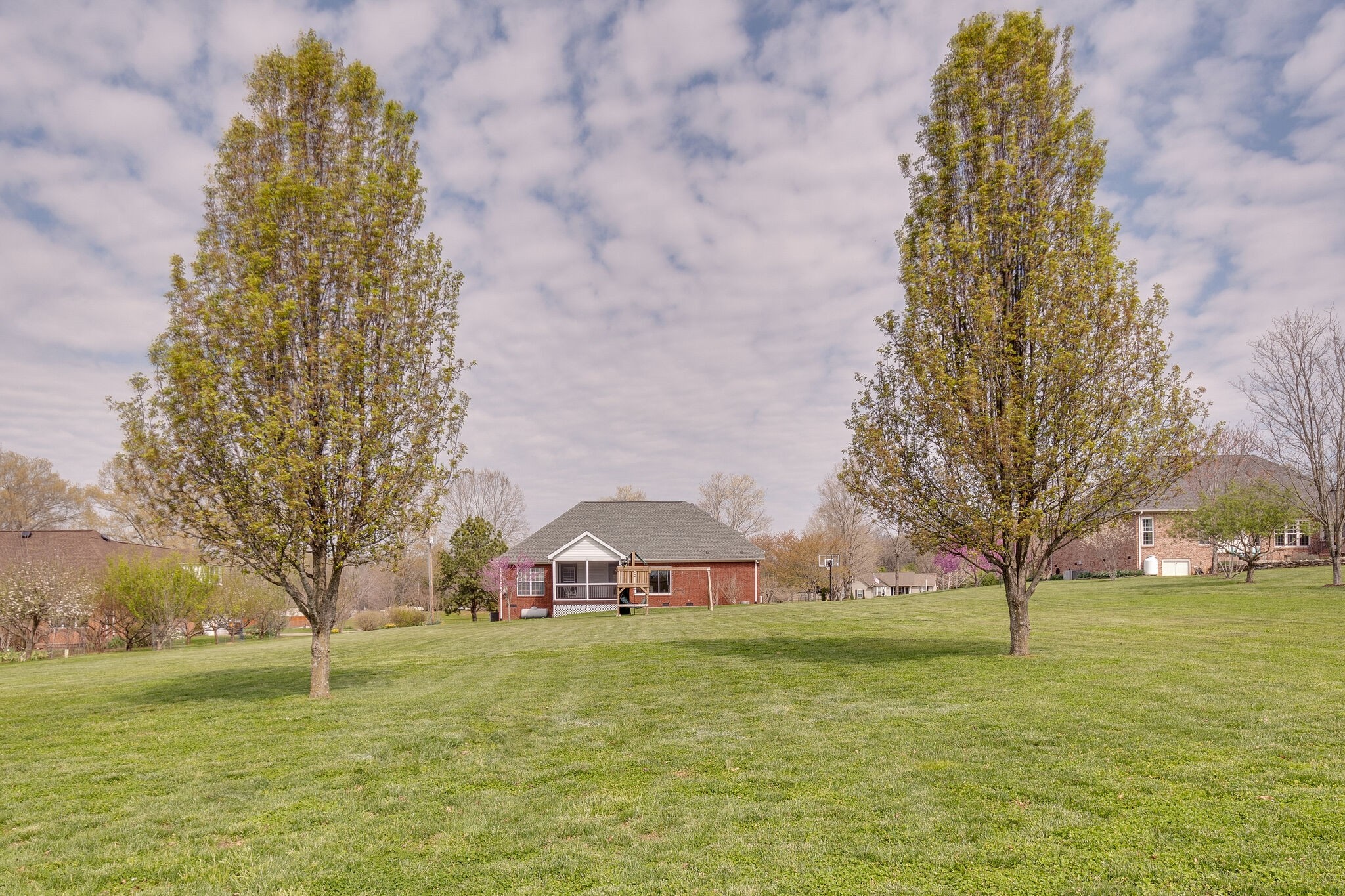 1978 Lasea Road Spring Hill, TN 37174 - Photo 31 of 31 a view of a field with a tree