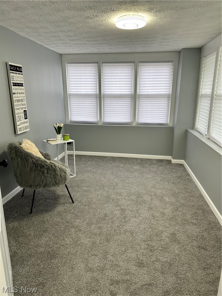 Sitting room featuring plenty of natural light, a textured ceiling, and carpet flooring