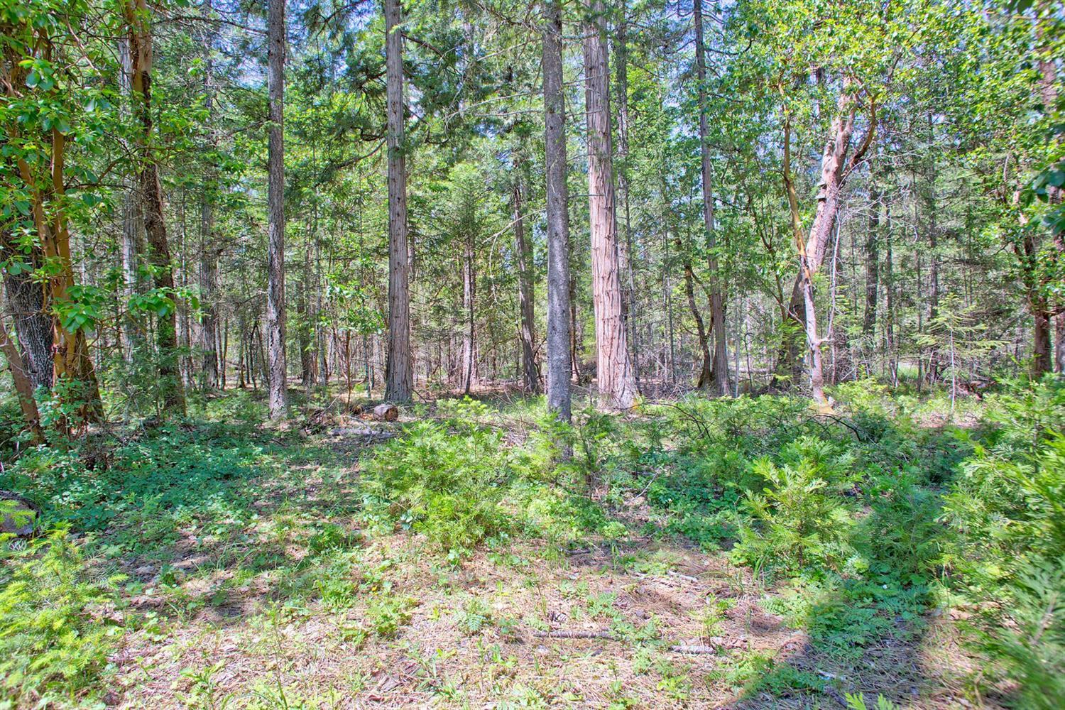 391 Kincaid Road Williams, OR 97544 - Photo 31 of 32 Additional Photo