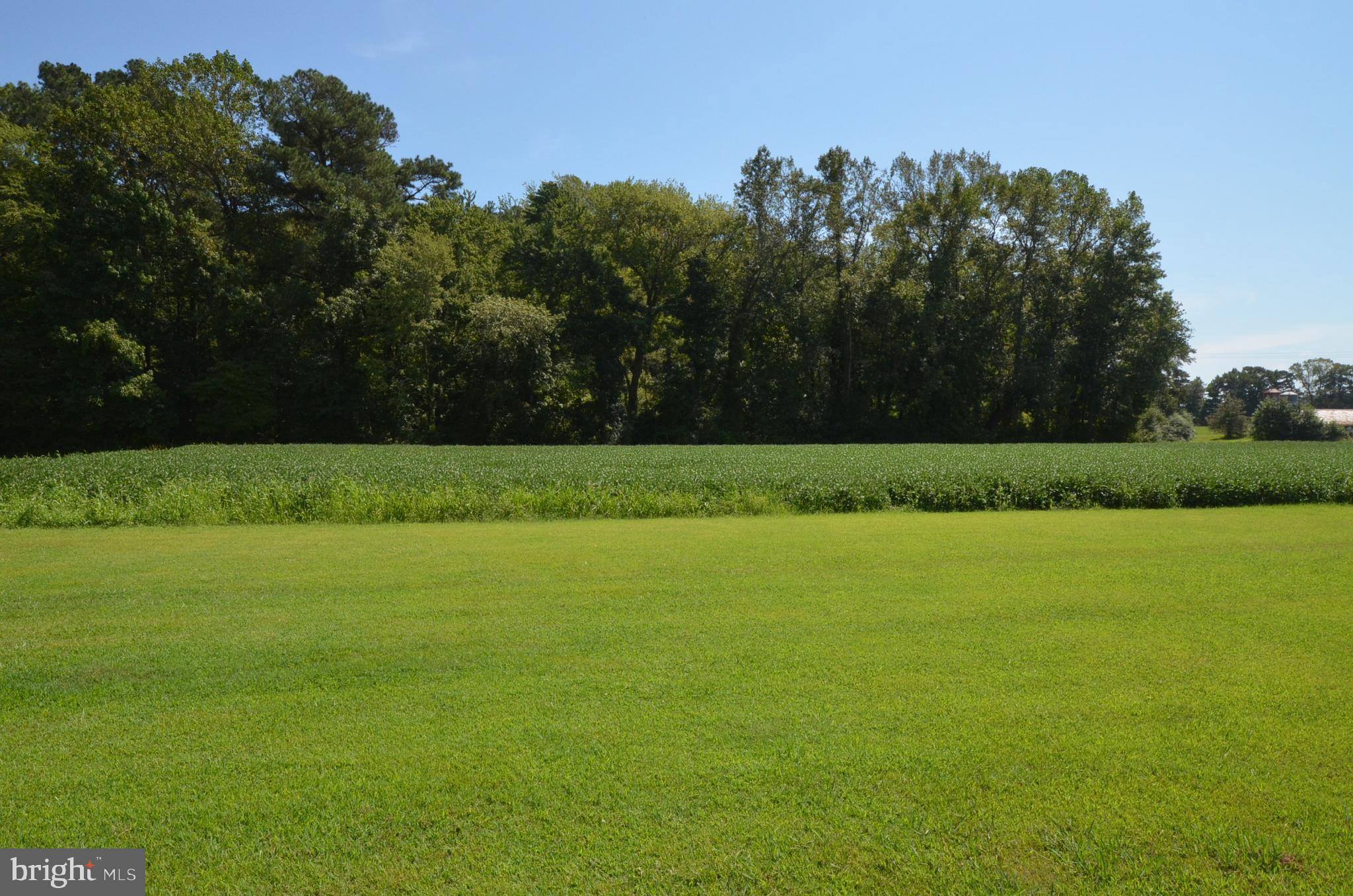 602 Snow Hill Road Stockton, MD 21864 - Photo 3 of 95 Gallery Image 3
