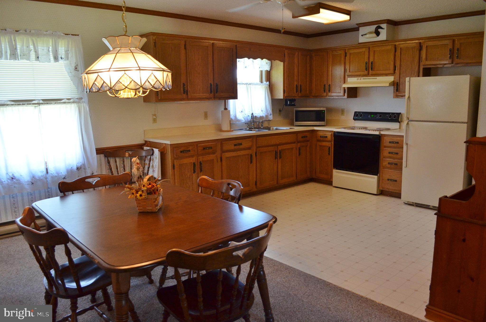602 Snow Hill Road Stockton, MD 21864 - Photo 25 of 95 Gallery Image 25