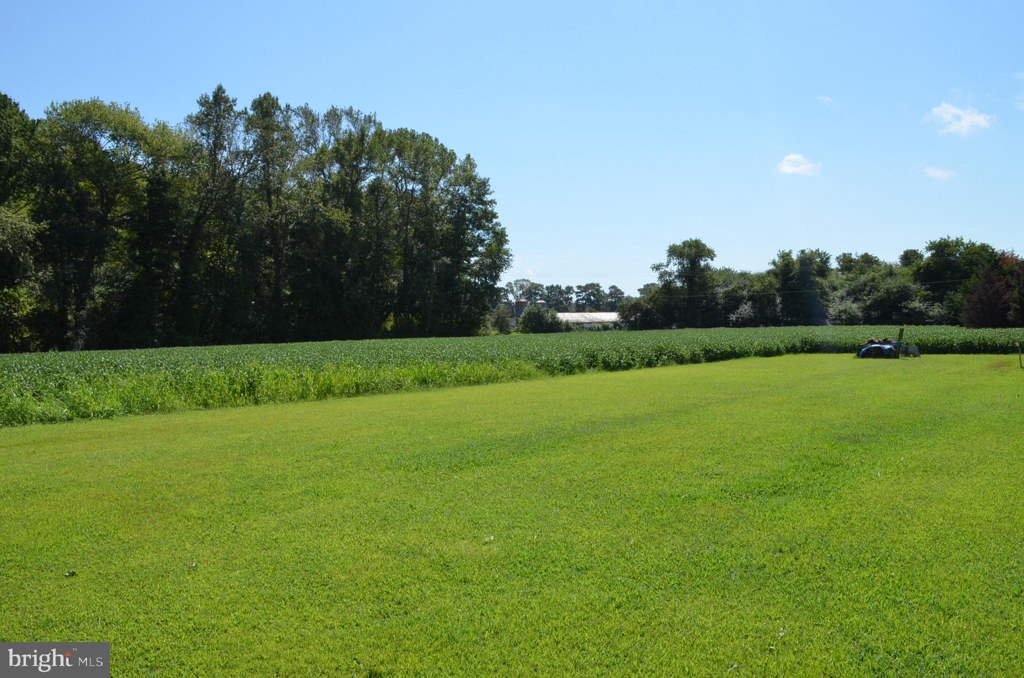 602 Snow Hill Road Stockton, MD 21864 - Photo 4 of 95 Gallery Image 4
