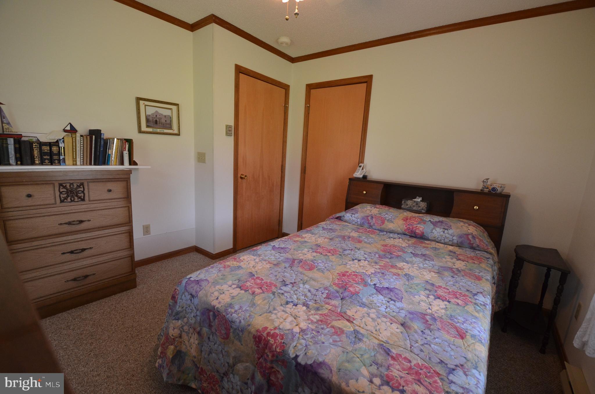 602 Snow Hill Road Stockton, MD 21864 - Photo 33 of 95 Gallery Image 33