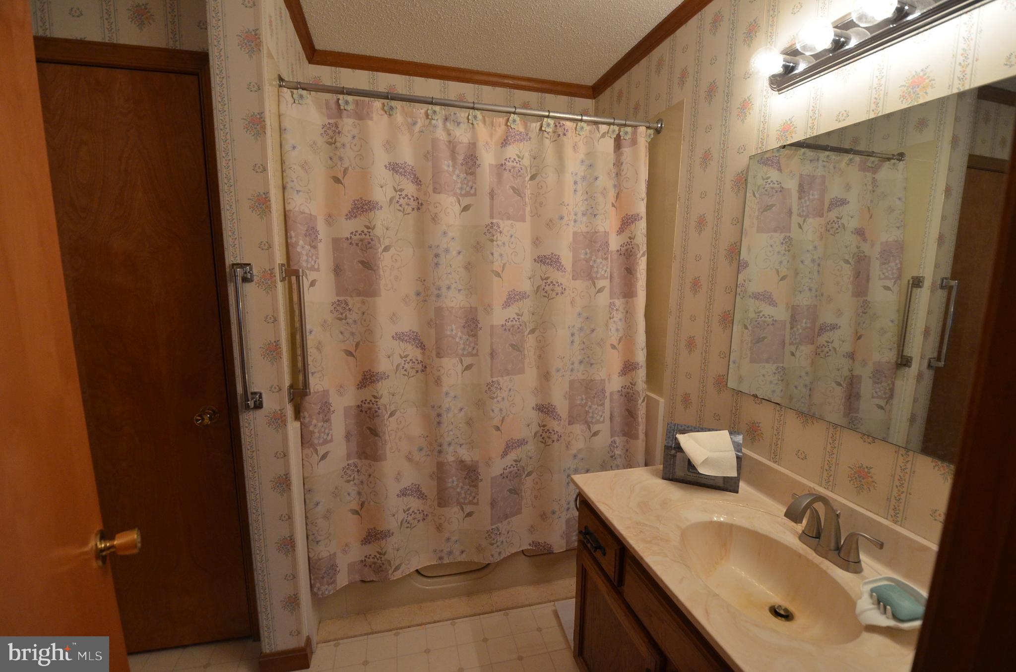 602 Snow Hill Road Stockton, MD 21864 - Photo 37 of 95 Gallery Image 37