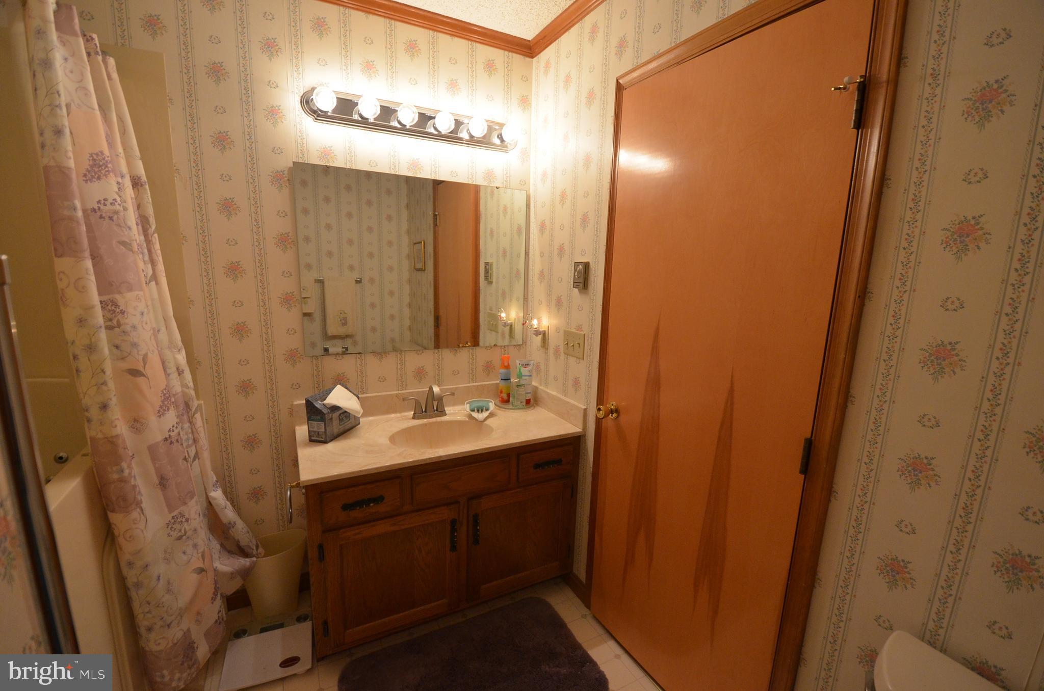 602 Snow Hill Road Stockton, MD 21864 - Photo 38 of 95 Gallery Image 38