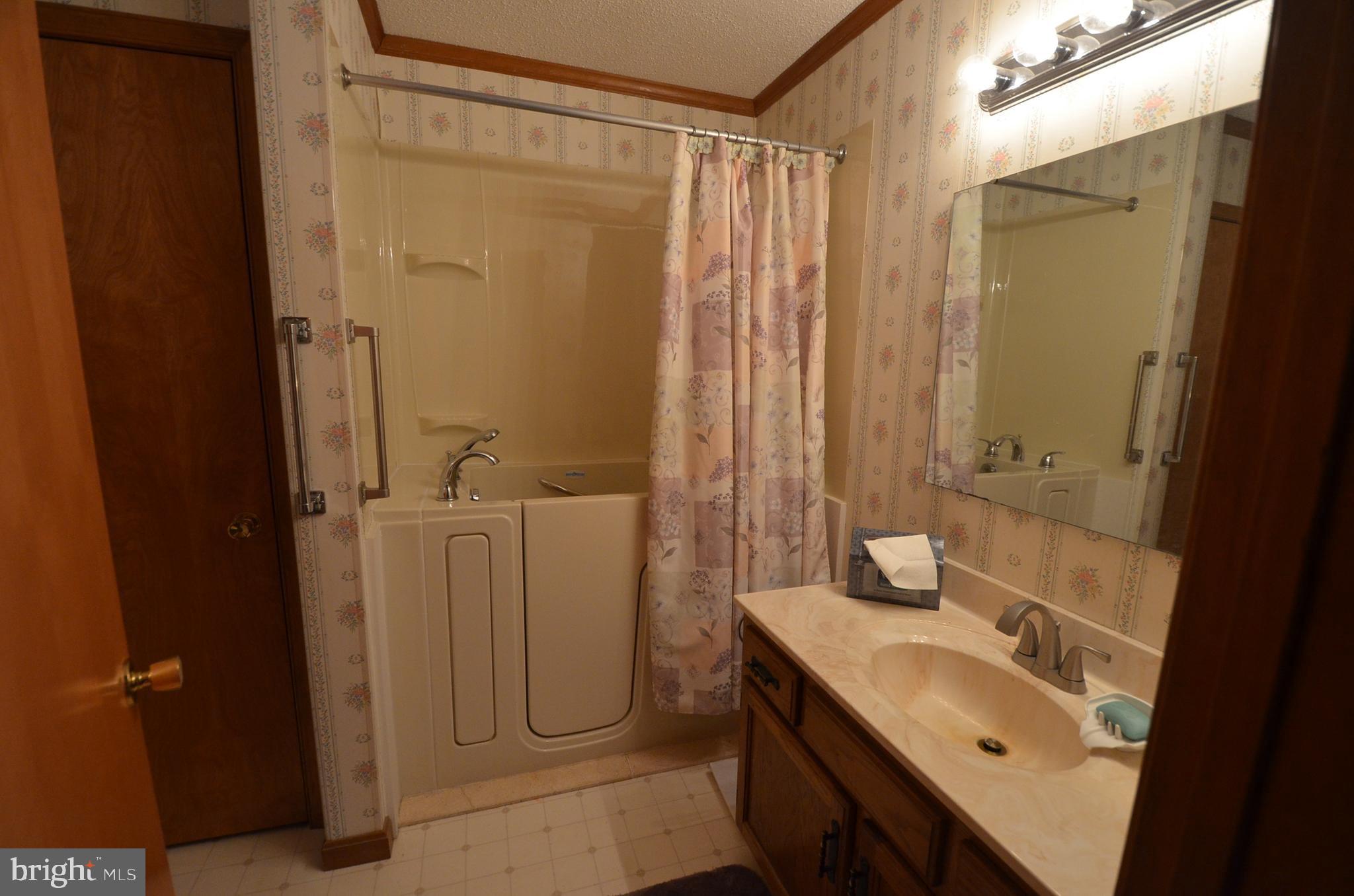 602 Snow Hill Road Stockton, MD 21864 - Photo 39 of 95 Gallery Image 39