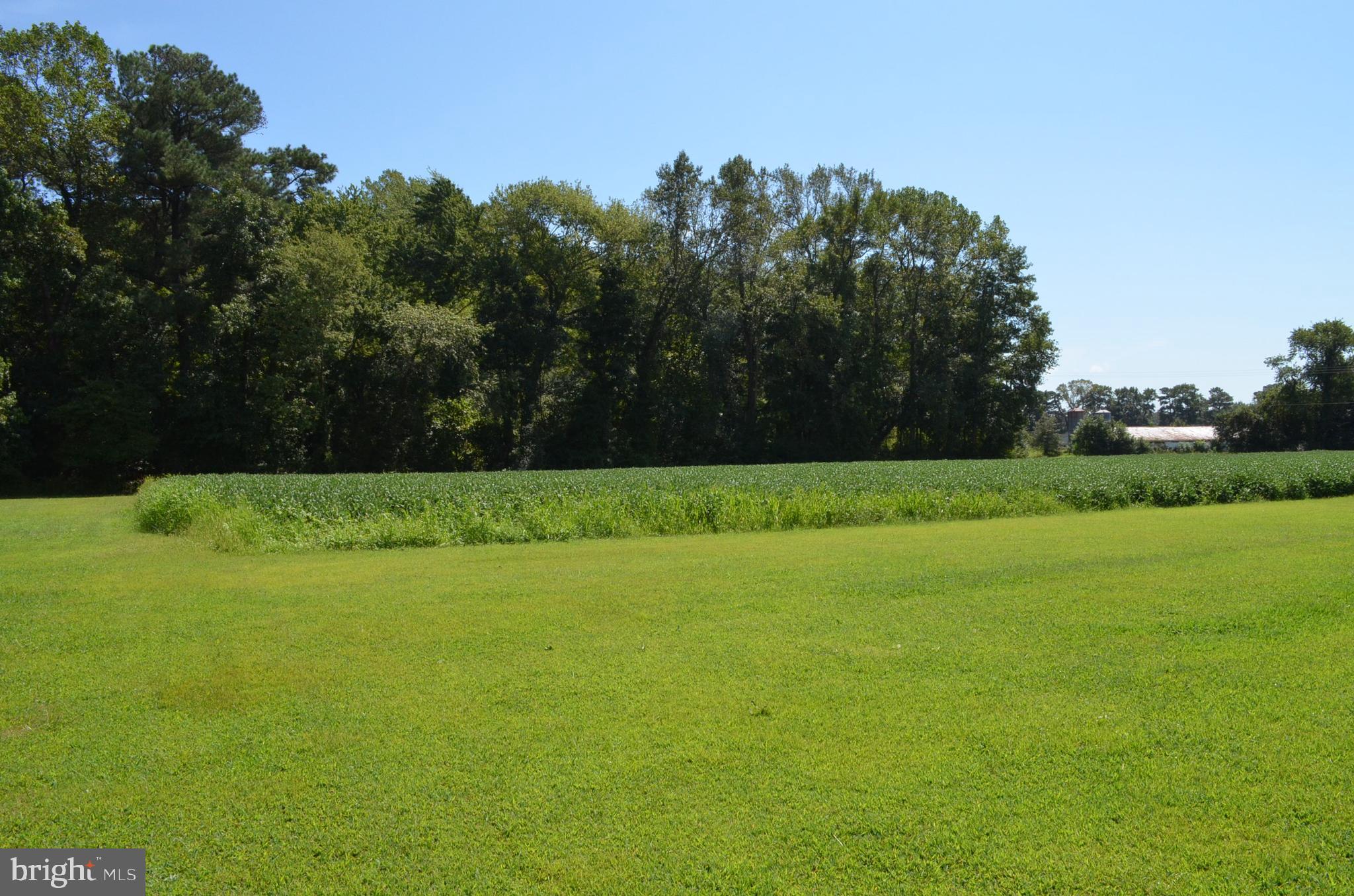 602 Snow Hill Road Stockton, MD 21864 - Photo 63 of 95 Gallery Image 63