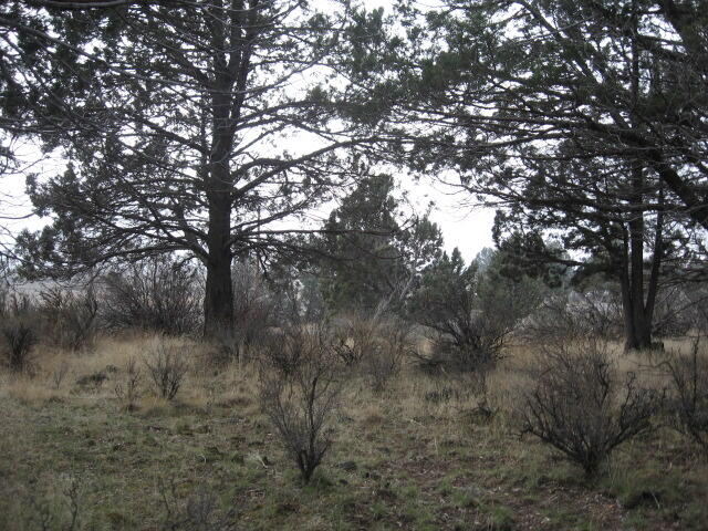 Drews Road Chiloquin, OR 97624 - Photo 1 of 20 1