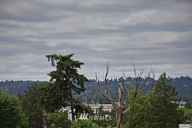 4820 Lake Avenue South, Unit A Renton, WA 98055 - Photo 9 of 15 Gallery Image 9